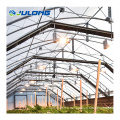 Agricultural Greenhouses With Light Deprivation System